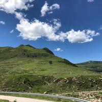 零基础美食头像