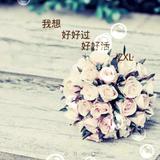 尘世间迷途小伙子头像