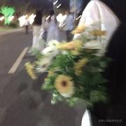 Coder只字片言的个人资料头像