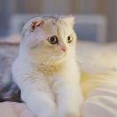 齐云猛的个人资料头像