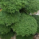 用户94402081 · 瑞虎8 PLUS车主·车龄4年头像