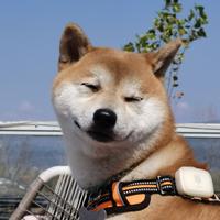 五道杠精头像