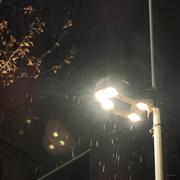 不吃菠萝的个人资料头像