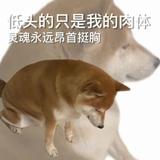 哈哈哈哈哈哈还吃头像