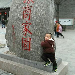 随风贺自甫巩义种红薯头像