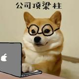 肚子特别袁先生头像