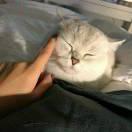 Daniel本尊111644的个人资料头像