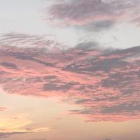 北鼻10086号头像
