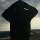 三岁本尊的个人资料头像