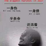 请叫陈先生头像