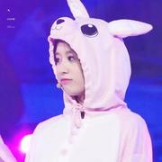 没有bug的人的个人资料头像