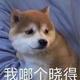 飞翔的荷兰大豆 · 唐DM车主·车龄4年头像