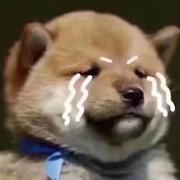 Pendant59的个人资料头像