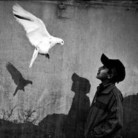 用户6754400131800头像