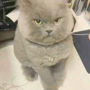 刘路路的个人资料头像