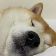 ZCQqq的个人资料头像