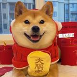 爱过就好头像