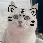 阿丁Dean499的个人资料头像