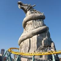 自由如风135028636头像