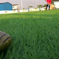 你好那谁谁头像