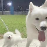 用户3168283611331头像