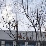 三农有约头像