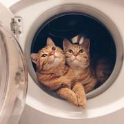 张潇镭的个人资料头像