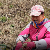 任妈的农村生活头像