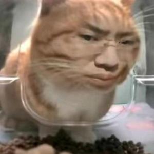 猫老弟头像