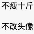海口小龙虾头像