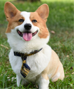 用户9392496091046的个人资料头像