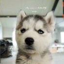 LD在掘金73289的个人资料头像