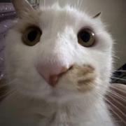 依尹得伊的个人资料头像