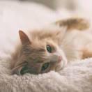 开心的于的个人资料头像