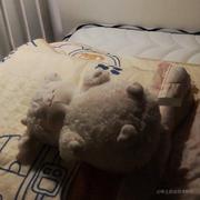 毛绒的咪咪的个人资料头像