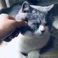 九二同学头像