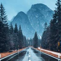 往后余生只要你305头像