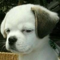 呵呵哈哈256头像