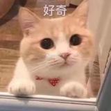 影子无痕7头像