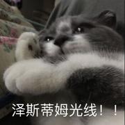 来瓶旺仔可好的个人资料头像