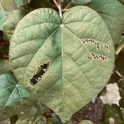 End720的个人资料头像