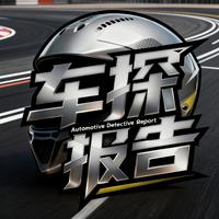 车探报告头像