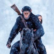 从入门到不放弃的个人资料头像