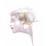 KK_H的个人资料头像