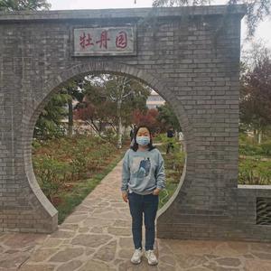 晋小护头像