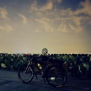 星言heart的个人资料头像