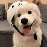 小智娃哈喽头像