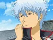 Gintoki_Sakata的个人资料头像