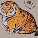 aa的个人资料头像