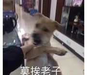 imm0n的个人资料头像